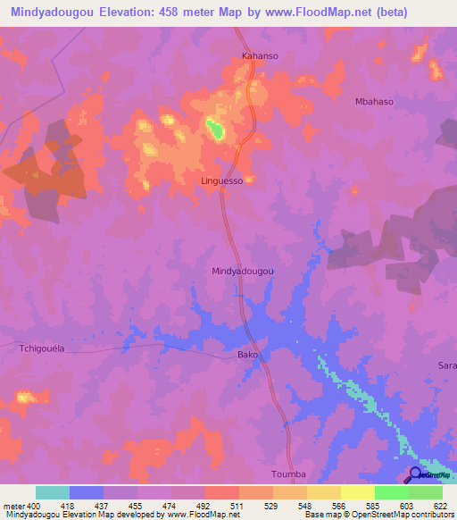 Mindyadougou,Ivory Coast Elevation Map