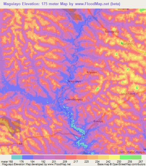 Maguiayo,Ivory Coast Elevation Map