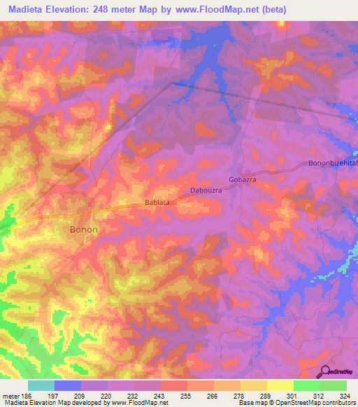 Madieta,Ivory Coast Elevation Map