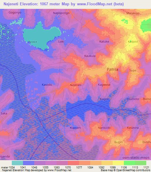 Najeneti,Uganda Elevation Map
