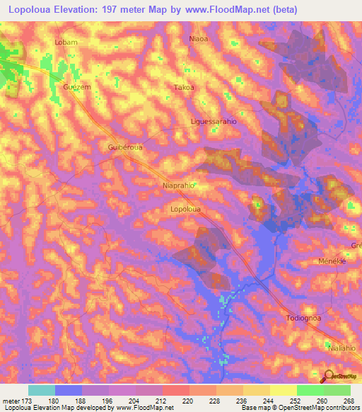 Lopoloua,Ivory Coast Elevation Map