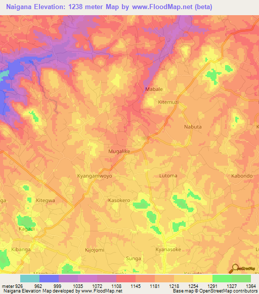 Naigana,Uganda Elevation Map