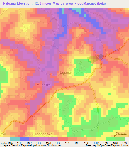 Naigana,Uganda Elevation Map