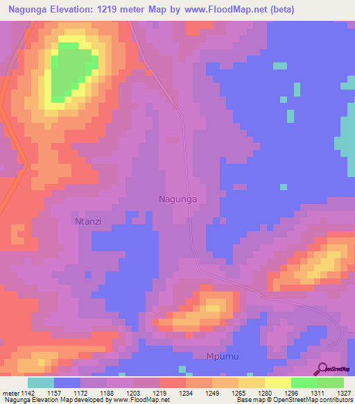Nagunga,Uganda Elevation Map