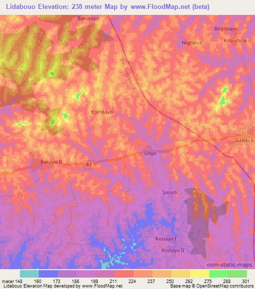 Lidabouo,Ivory Coast Elevation Map