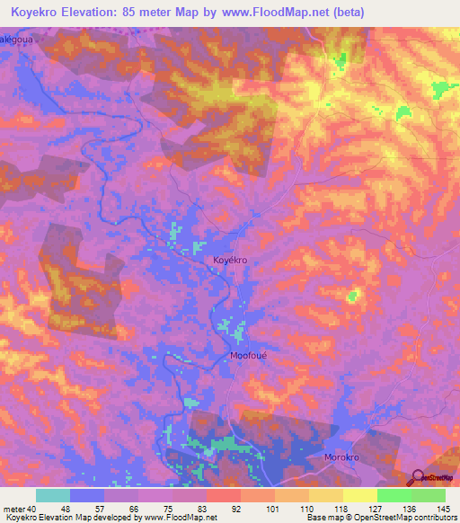 Koyekro,Ivory Coast Elevation Map