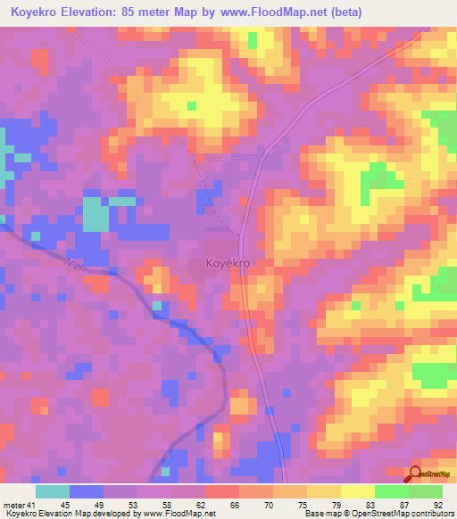 Koyekro,Ivory Coast Elevation Map