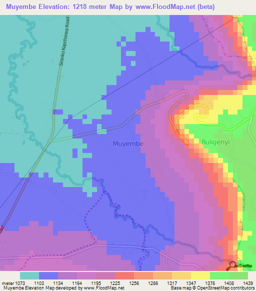 Muyembe,Uganda Elevation Map