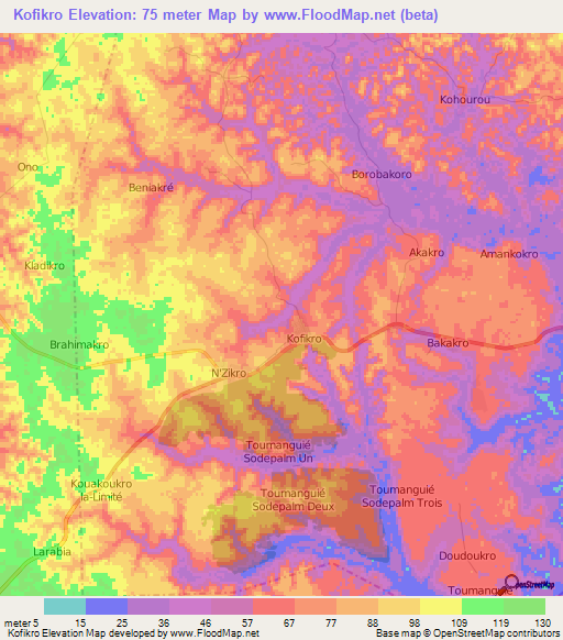 Kofikro,Ivory Coast Elevation Map