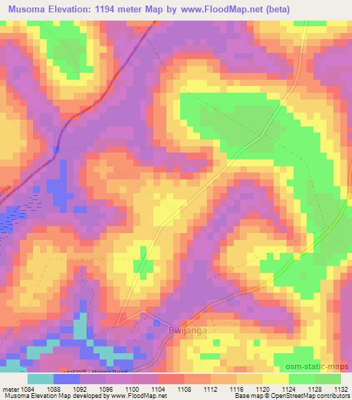 Musoma,Uganda Elevation Map