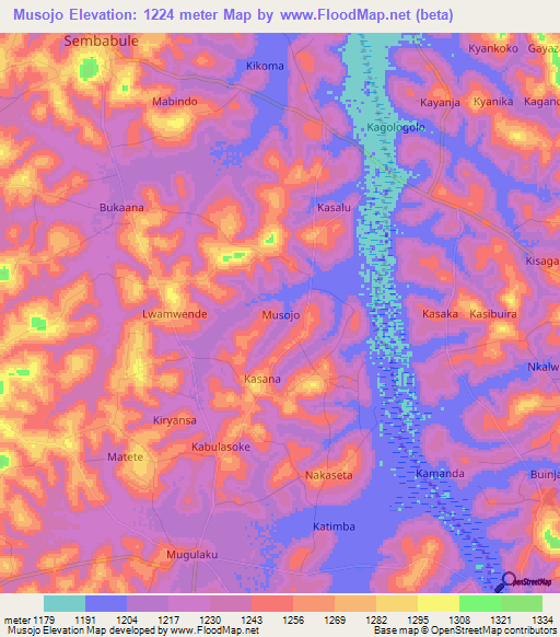 Musojo,Uganda Elevation Map