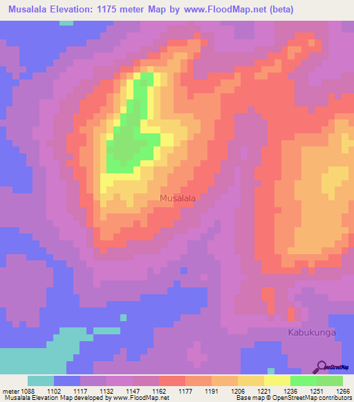 Musalala,Uganda Elevation Map