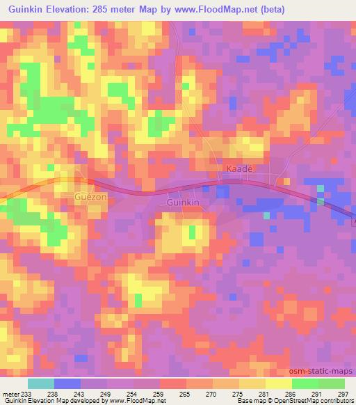 Guinkin,Ivory Coast Elevation Map