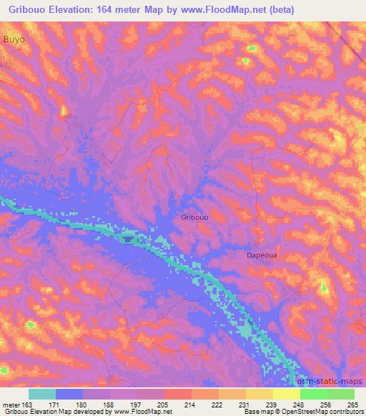 Gribouo,Ivory Coast Elevation Map