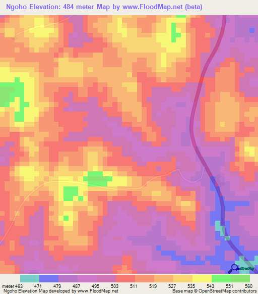 Ngoho,Ivory Coast Elevation Map