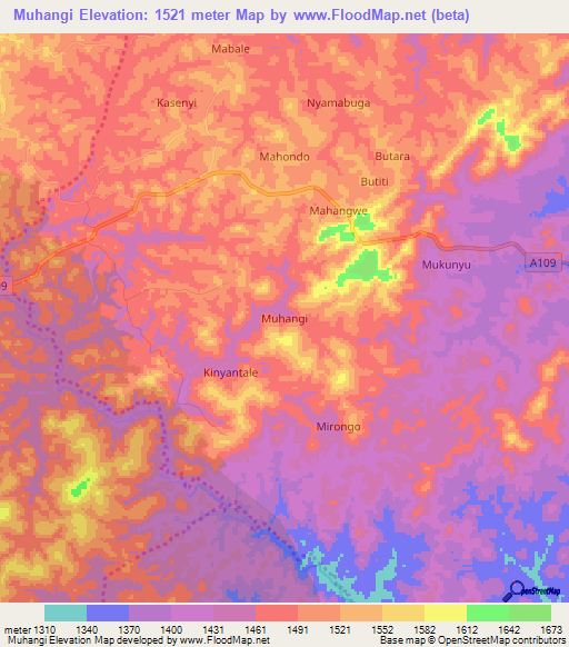 Muhangi,Uganda Elevation Map