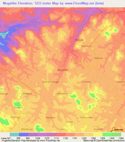 Mugalike,Uganda Elevation Map