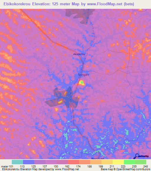 Ebikokorekrou,Ivory Coast Elevation Map