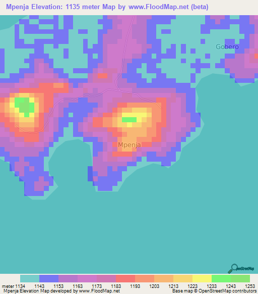 Mpenja,Uganda Elevation Map
