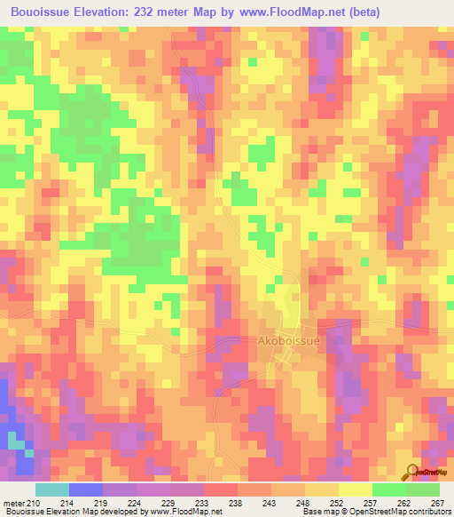 Bouoissue,Ivory Coast Elevation Map