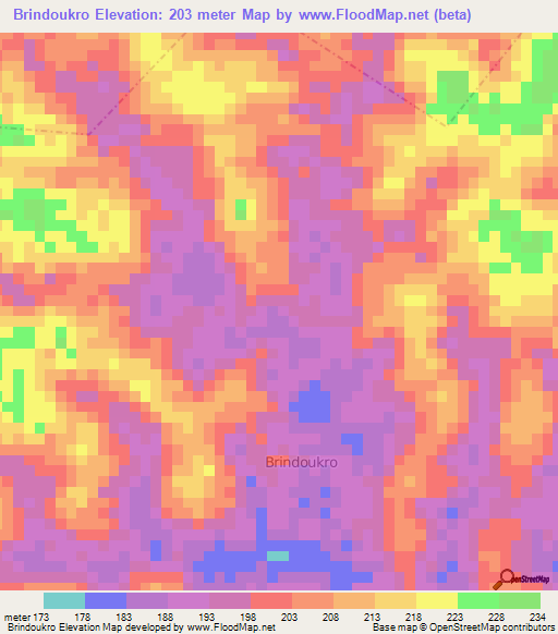 Brindoukro,Ivory Coast Elevation Map