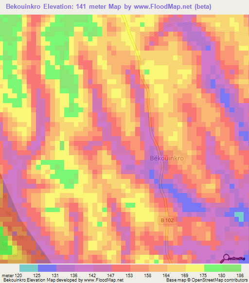 Bekouinkro,Ivory Coast Elevation Map