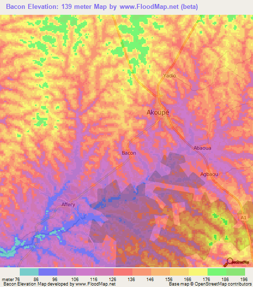 Bacon,Ivory Coast Elevation Map