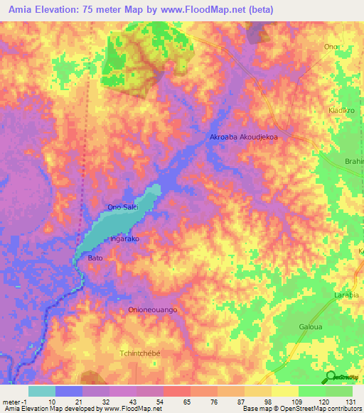 Amia,Ivory Coast Elevation Map