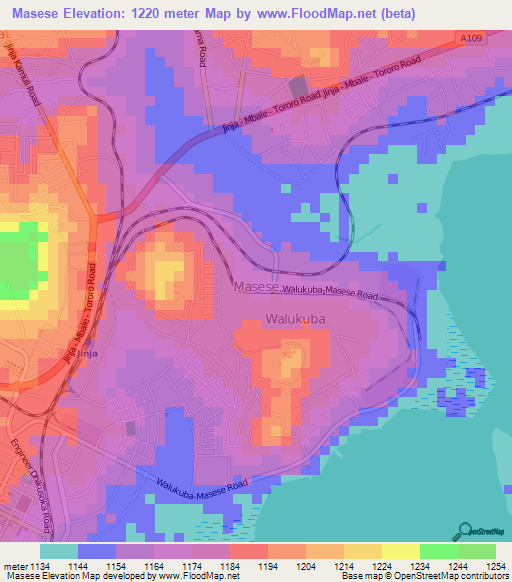 Masese,Uganda Elevation Map