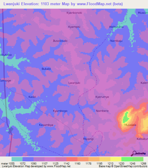Lwanjuki,Uganda Elevation Map