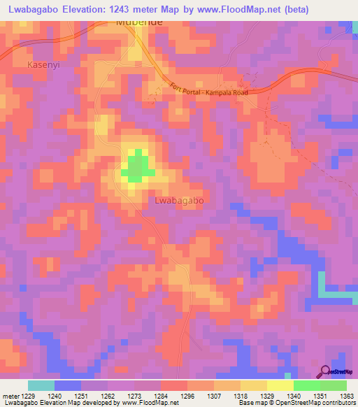 Lwabagabo,Uganda Elevation Map