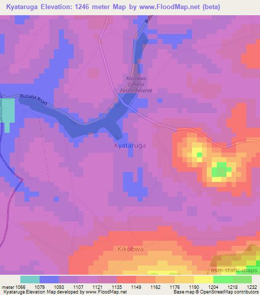 Kyataruga,Uganda Elevation Map