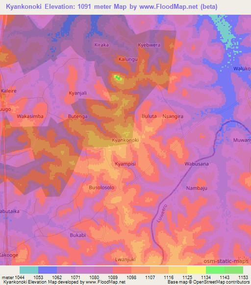 Kyankonoki,Uganda Elevation Map