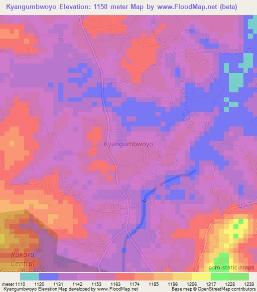 Kyangumbwoyo,Uganda Elevation Map