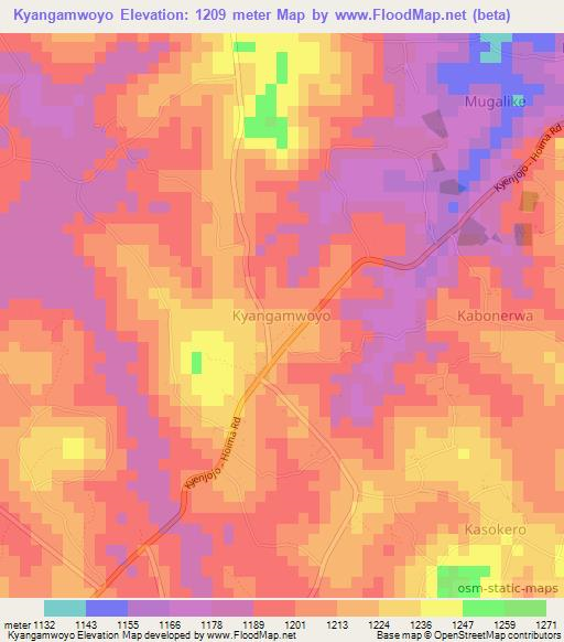 Kyangamwoyo,Uganda Elevation Map