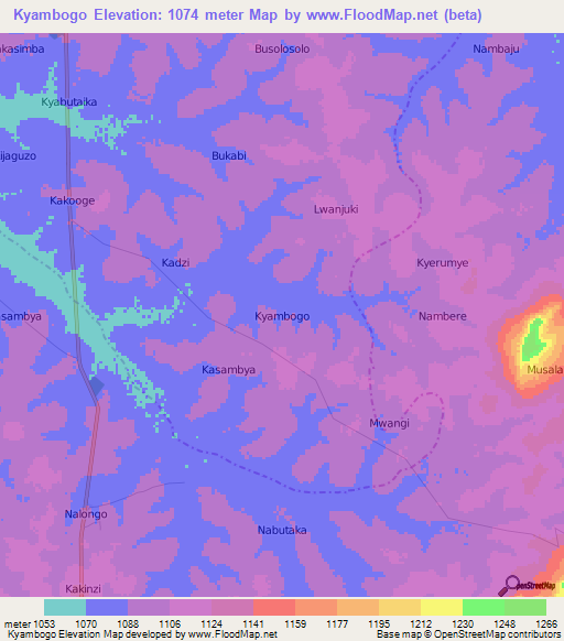 Kyambogo,Uganda Elevation Map