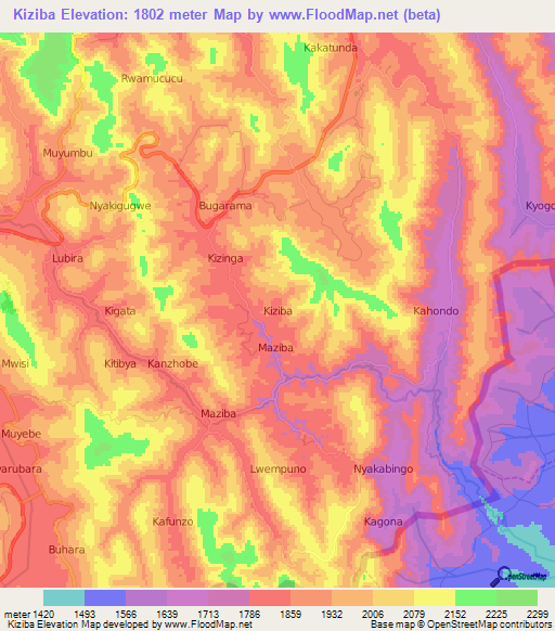 Kiziba,Uganda Elevation Map