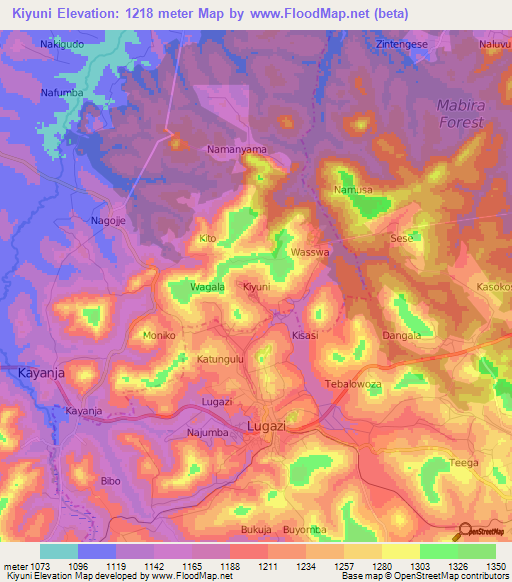 Kiyuni,Uganda Elevation Map