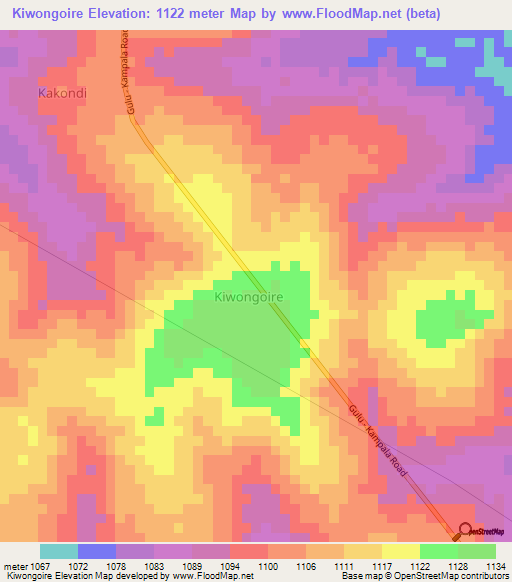 Kiwongoire,Uganda Elevation Map