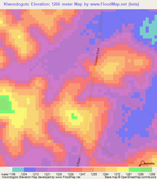 Kiwondogoto,Uganda Elevation Map