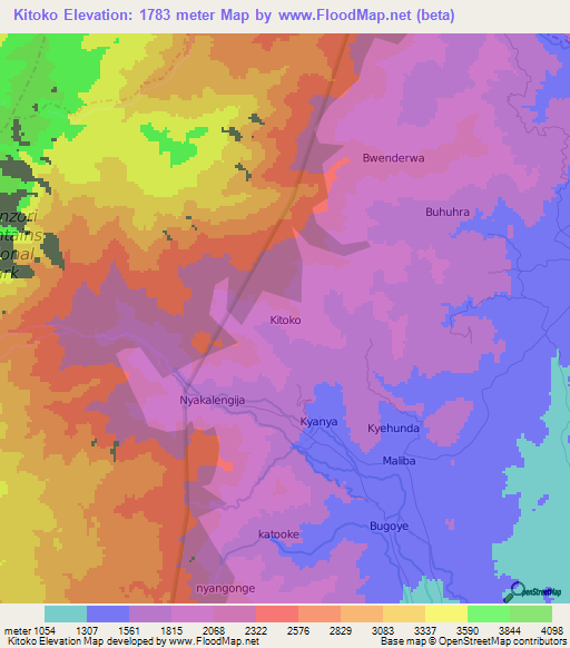 Kitoko,Uganda Elevation Map