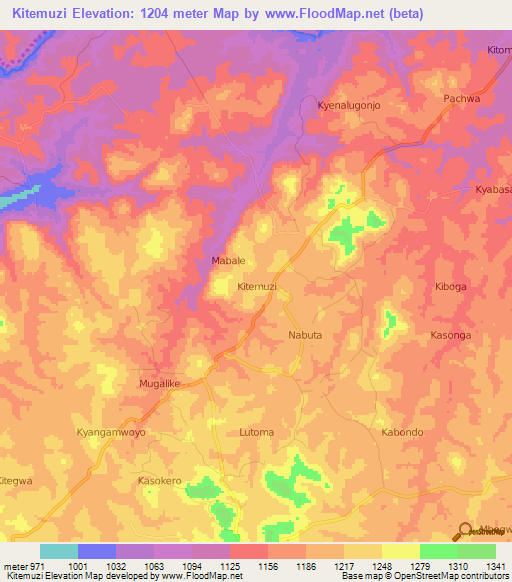 Kitemuzi,Uganda Elevation Map
