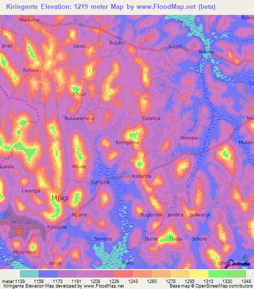 Kiringente,Uganda Elevation Map