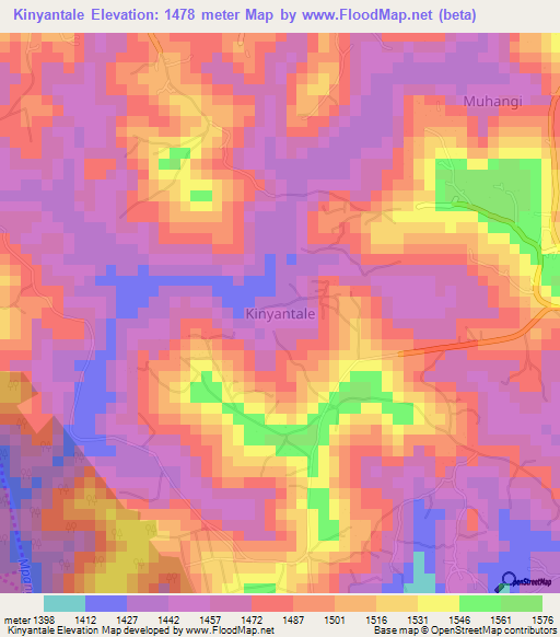 Kinyantale,Uganda Elevation Map