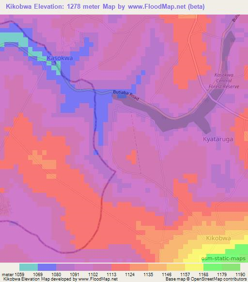 Kikobwa,Uganda Elevation Map