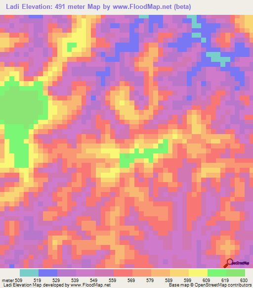 Ladi,Congo (Kinshasa) Elevation Map
