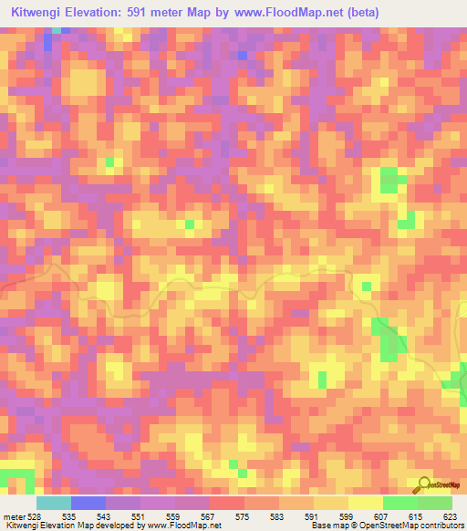 Kitwengi,Congo (Kinshasa) Elevation Map