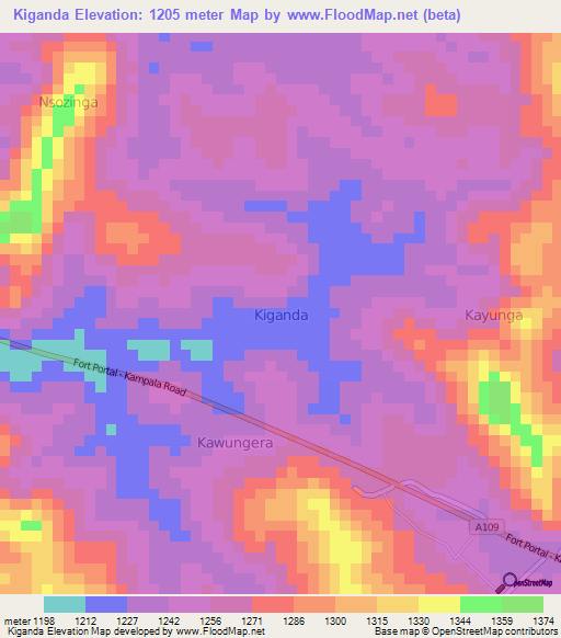Kiganda,Uganda Elevation Map