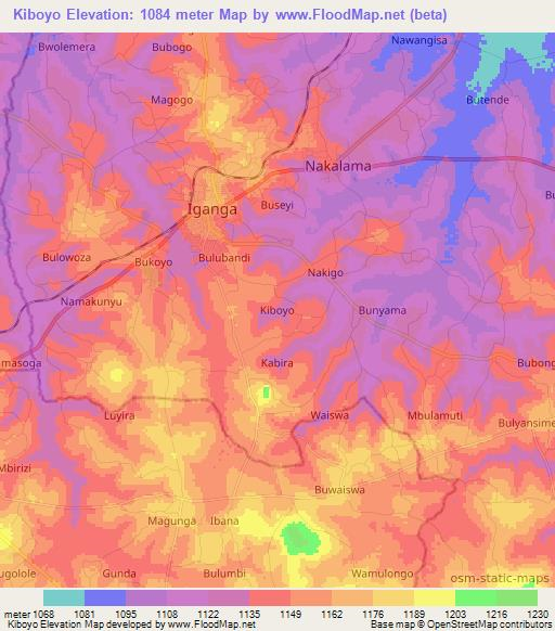 Kiboyo,Uganda Elevation Map