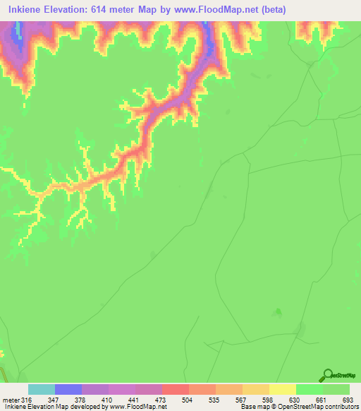 Inkiene,Congo (Kinshasa) Elevation Map